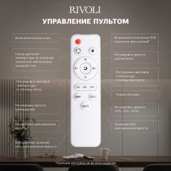 Светильник потолочный светодиодный Rivoli Evlalia 6178-703 LED 42Вт 3000-6000К с пультом | Интерьерные светодиодные светильники