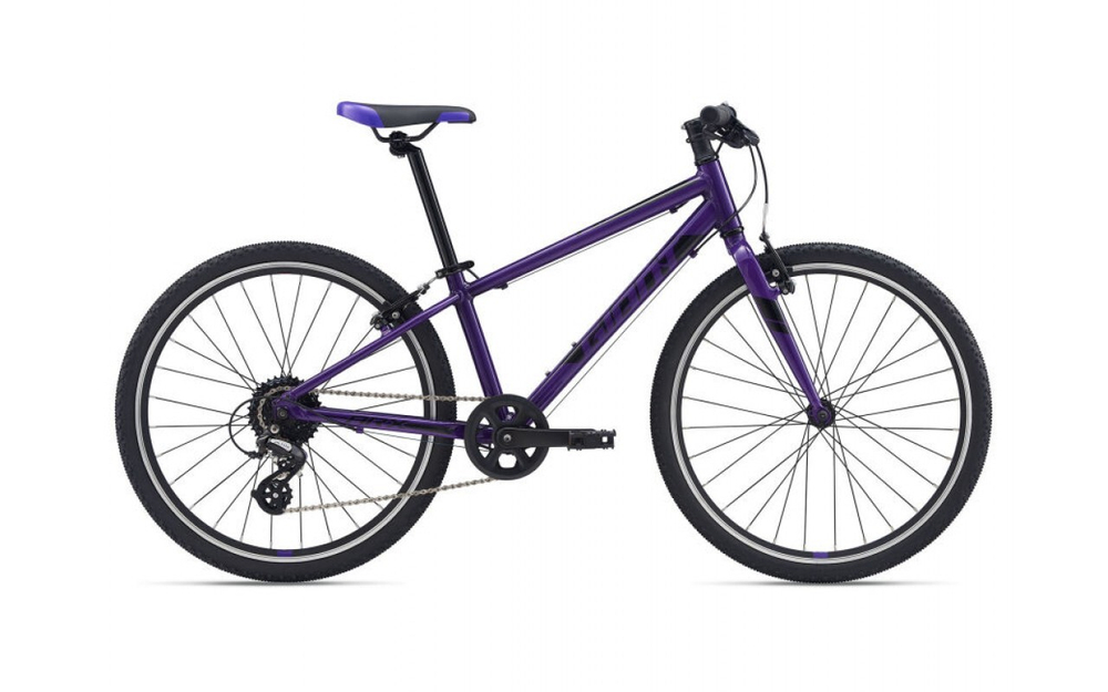 Велосипед GIANT ARX 24 2021