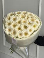 Монобукет из 25 минигербер