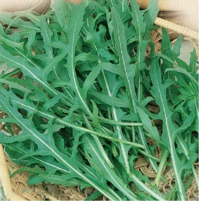 Пасьянс семена рукколы (Гавриш)