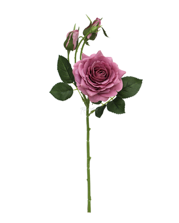 Роза Гранд мини - Лиловый