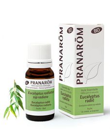 Натуральное эфирное масло Эвкалипт лучистый БИО, Pranarom