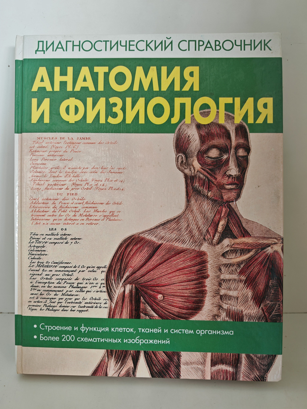 Анатомия и физиология: диагностический справочник