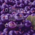 Чай в пакетиках Ahmad Tea Blackcurrant Burst, 25 шт