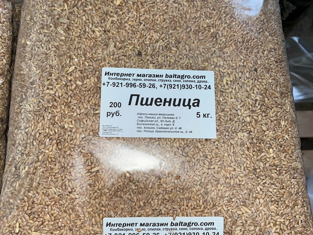 Пшеница 5 кг в Пос Ропша.