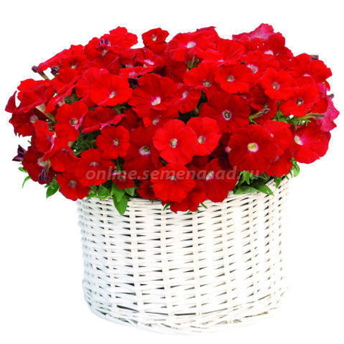 Петуния мультифлора Джоконда Ред F1