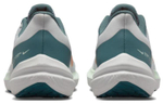 Кроссовки Nike Zoom Winflo 9