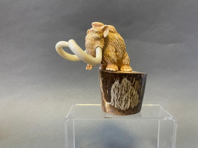 Бац и 60 (мамонт)