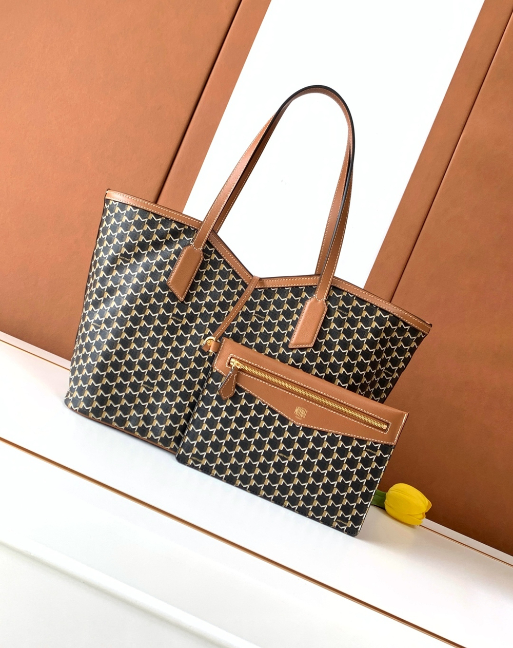 Moynat M Tote MM