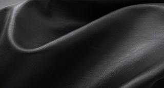 Искусственная кожа Biss (Бисс) 15