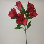 Альстромерия перфект