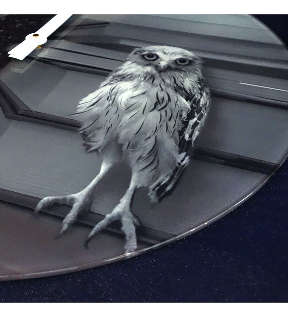 Салют SLT- 14 Часы настенные «OWL»