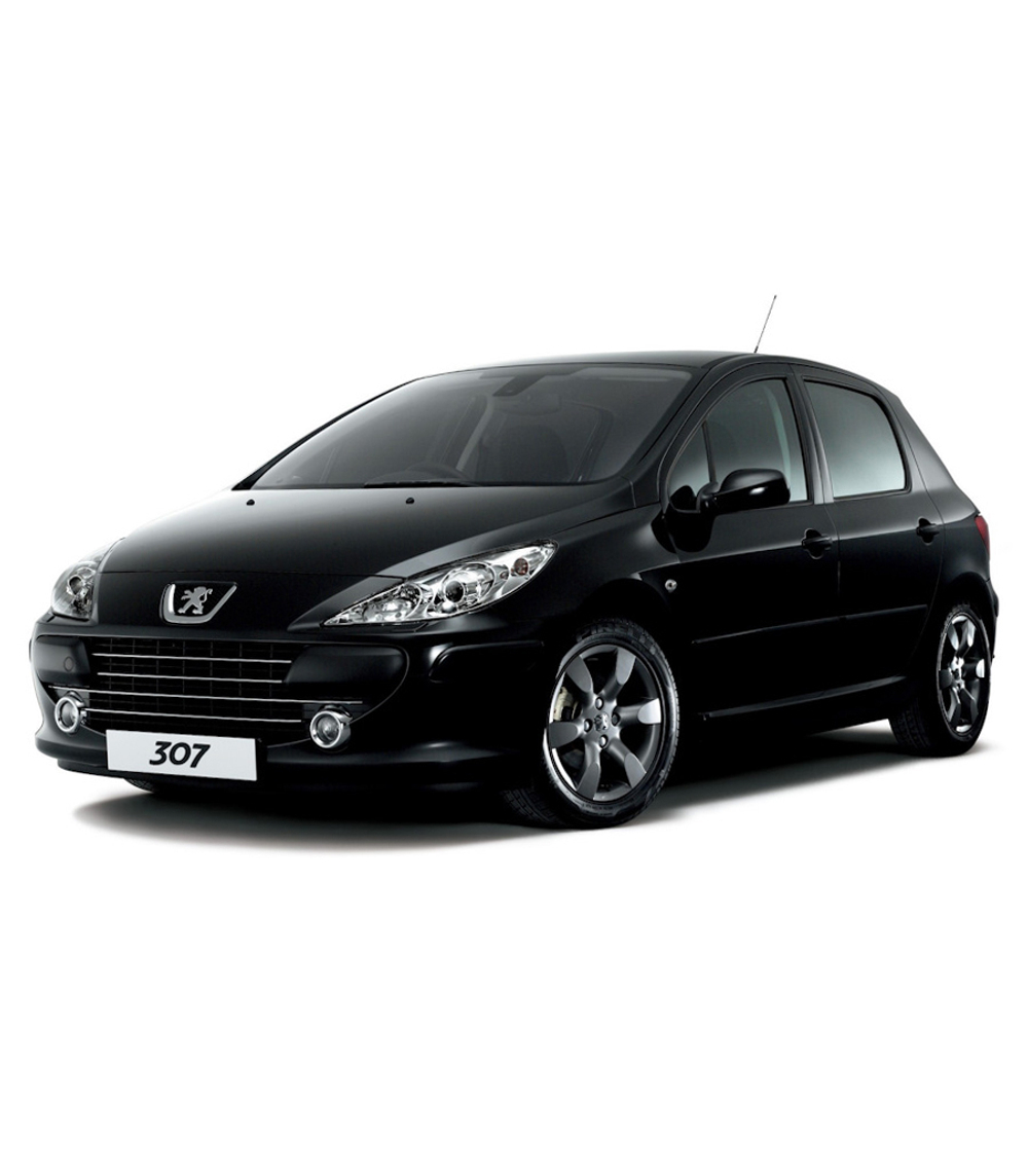 Peugeot 307 3A/C (01.2001 - 09.2007) хэтчбек, 5 дверей