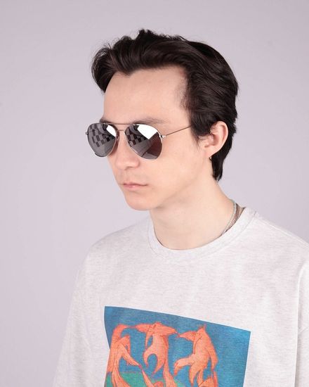 Очки Anteater Aviator Silver