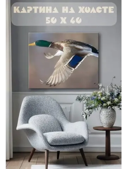 Картина на стену 40 X 50 Селезень