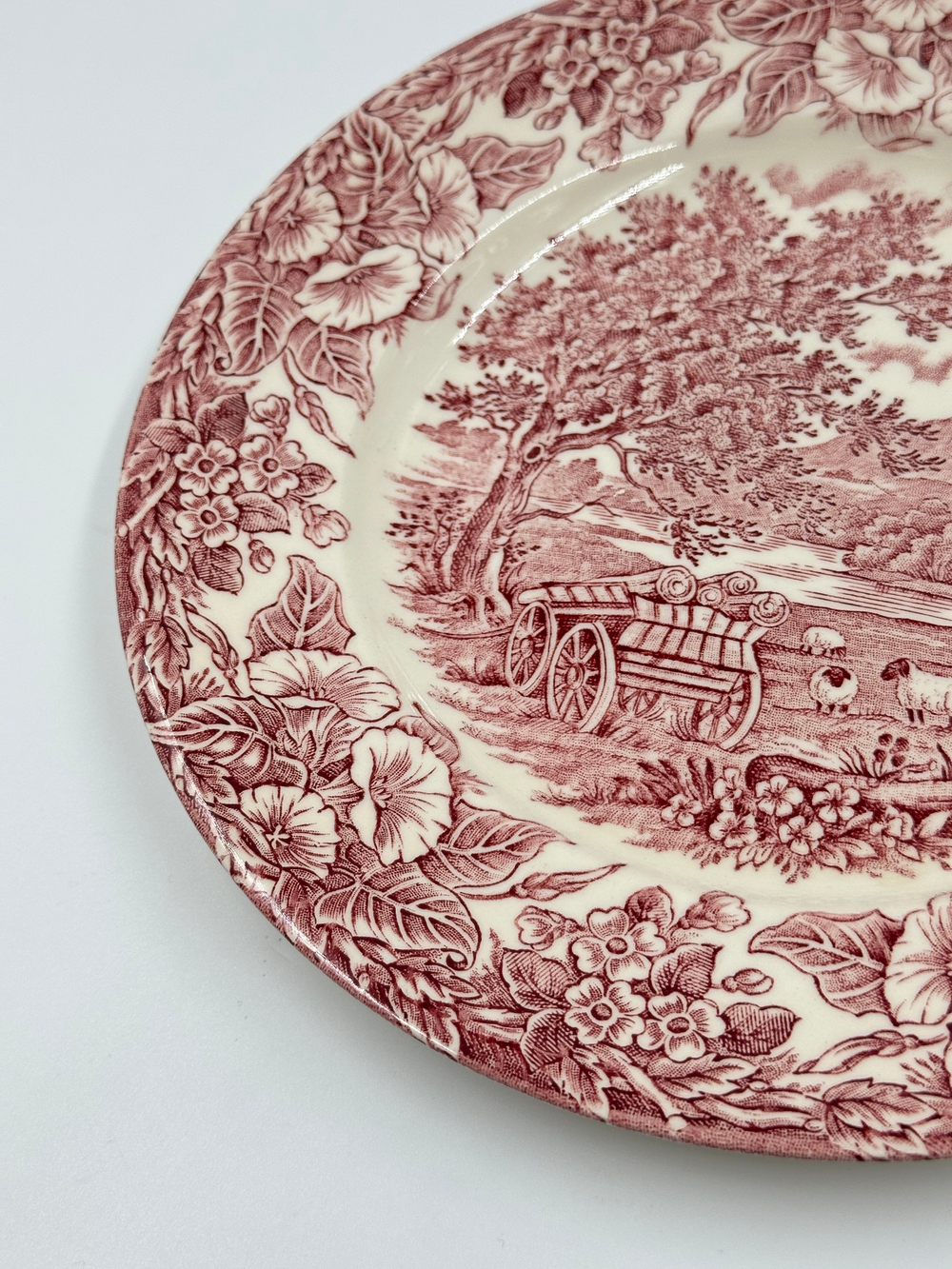 Тарелка 22,5см English Ironstone