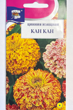 Цинния Кан Кан изящная 0,3 г СМЦ-311