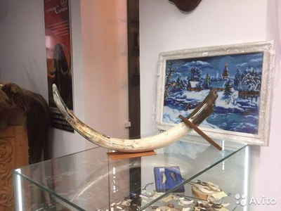 Бивень мамонта "Тернистый"