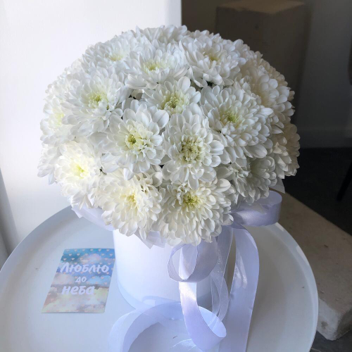 Белая кустовая хризантема в белой коробке