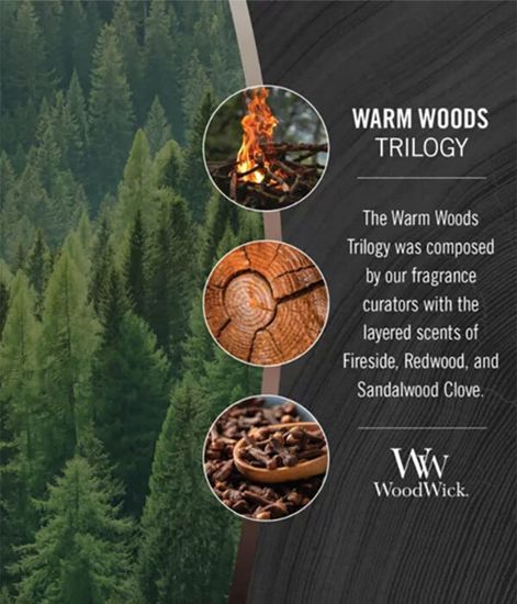 Летний лес, ароматическая свеча трилогия эллипс, WoodWick