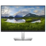 Монитор Dell P2423DE (210-BDDW)