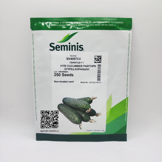 4097 F1 семена огурца партенокарпического (Seminis / Семинис) – фото 14