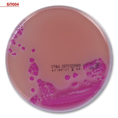 Агар Мак-Конки/Колумбийский CNA с ДК, готовый, в 2-х секционной чашке Петри 10 шт