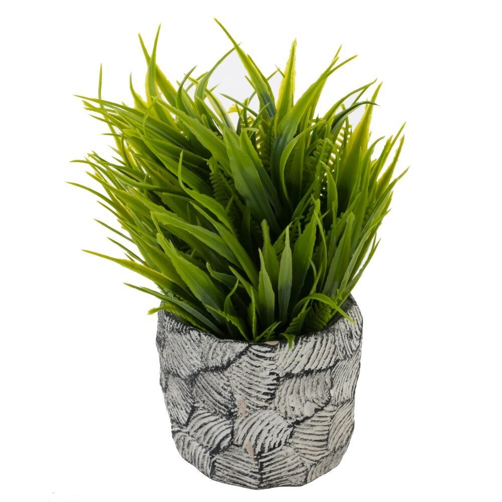 GAEM Цветочная композиция "Трава с папоротником", L12 W12 H17 см