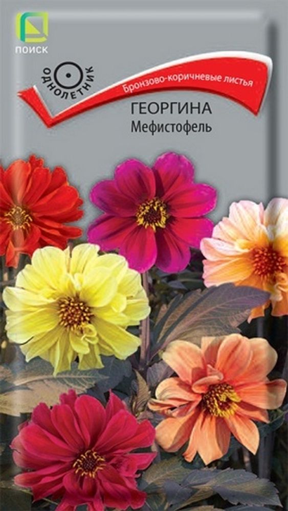 Георгина &quot;G. Мефистофель&quot; 0.2г., Россия.