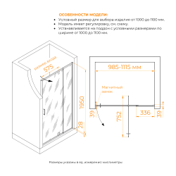 Душевая дверь RGW PA-008B (Прозрачное, 1000)