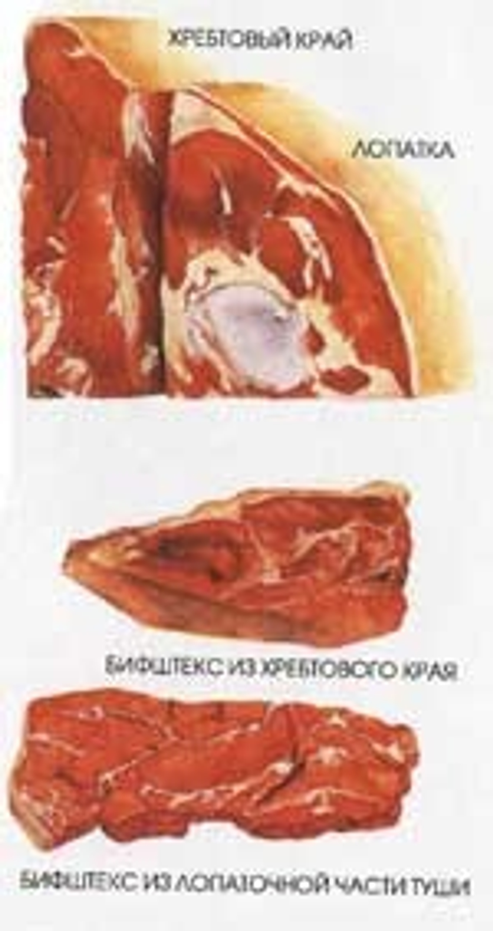 Мясо говядины - хребтовый край шеи