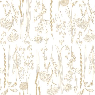 Нежные полевые травы и цветы коричневых тонах