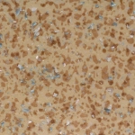 ACCZENT MINERAL AS 1000 11