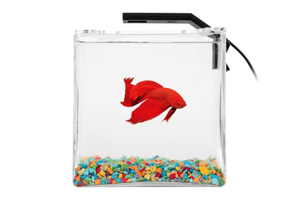 Аквариум Collar Betta Set 2,7л