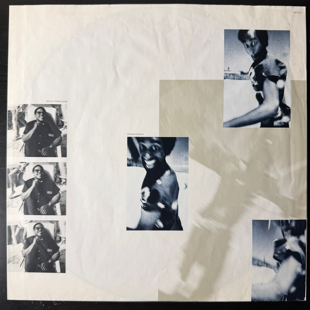 Виниловая пластинка Sting - The Dream Of The Blue Turtles LP