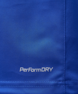 Джемпер тренировочный DIVISION PerFormDRY Pro Training Top, синий