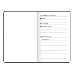 Ежедневник датированный А6 BRAUBERG "Rainbow" (117257) 5