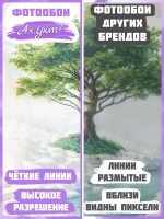 3D Объемные фотообои дерево и белая пещера