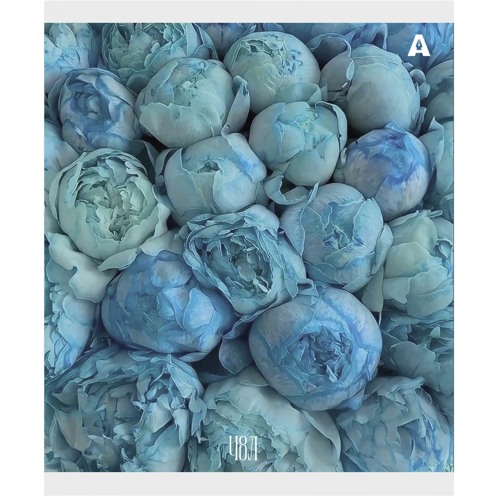 Тетрадь 48л., А5, клетка, Alingar "Нежные цветы", скрепка, мелованый картон ( стандарт), блок офсет, 5 дизайнов в пленке т/у