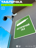 Табличка для обеспечения безопасности "Негорючий газ", для производства, предприятия, организаций, 40х30 см, Silver Plane x Айдентика Технолоджи
