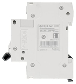 Автоматический выключатель  Systeme Electric C9F34363