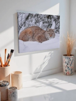 Картина на стену 40 X 50 Рысь