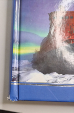 История ледокольного флота и освоения Арктики (у)