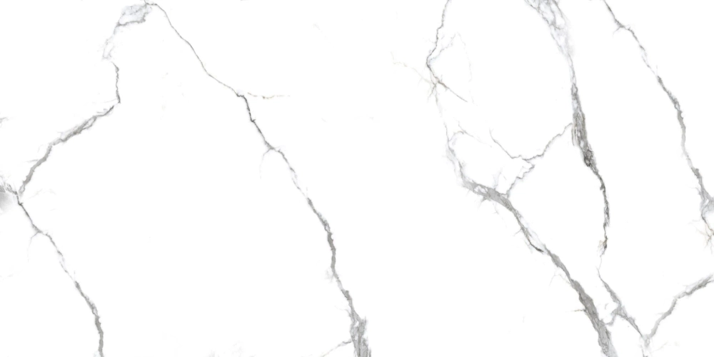 Керамогранит Для стен и пола PRIMAVERA/IND Acothly PR234 polished 600х1200х9 1,44