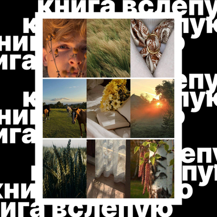 Книга вслепую №14