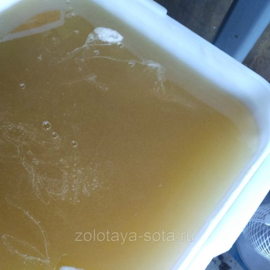 Мёд Липовый Приморье 1 кг