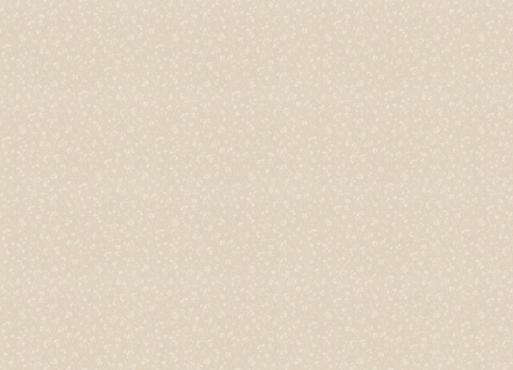 Альгеро