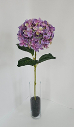 Гортензия / Арт 2100