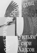 Приключения среди птиц