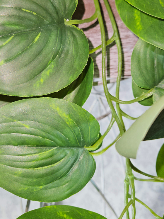 Бугенвиллия и сциндапсус в деревянном настенном кашпо